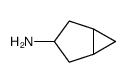 Bicyclo[3.1.0]hexan-3-amine hydrochloride picture