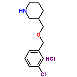 3-{[(3-Chlorobenzyl)oxy]methyl}piperidinehydrochloride结构式