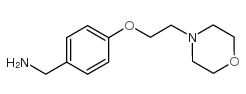 [4-(2-吗啉乙氧基)苯基]甲胺图片