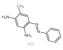 柯衣定R图片