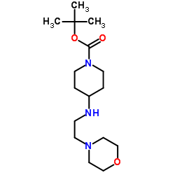 tert-butyl 4-(2-morpholinoethylamino)piperidine-1-carboxylate structure