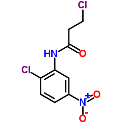 N-(2-CHLORO-5-NITROPHENYL)-3-CHLOROPROPANAMIDE Structure