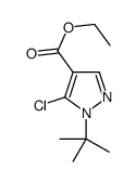 ETHYL1-TERT-BUTYL-5-CHLORO-1H-PYRAZOLE-4-CARBOXYLATE picture