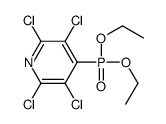 2,3,5,6-tetrachloro-4-diethoxyphosphorylpyridine Structure