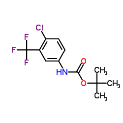 2-Methyl-2-propanyl [4-chloro-3-(trifluoromethyl)phenyl]carbamate结构式