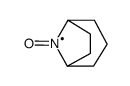 8-azabicyclo[3.2.1]octane-N-oxyl Structure