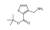 3-氨基甲基噻吩-2-羧酸叔丁酯结构式