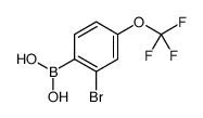 (2-Bromo-4-(trifluoromethoxy)phenyl)boronic acid picture