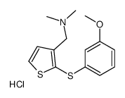 1-[2-(3-methoxyphenyl)sulfanylthiophen-3-yl]-N,N-dimethylmethanamine,hydrochloride结构式