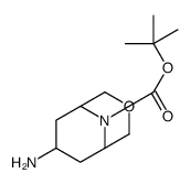 7-氨基-3-氧杂-3-氧杂-9-氮杂双环[3.3.1]壬烷-9-羧酸叔丁酯图片