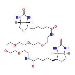 1,17-双生物素氨基-3,6,9,12,15-五氧杂十七烷结构式