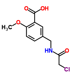 5-[(2-CHLORO-ACETYLAMINO)-METHYL]-2-METHOXY-BENZOIC ACID图片