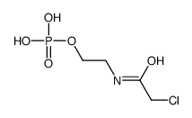 2-[(2-chloroacetyl)amino]ethyl dihydrogen phosphate Structure