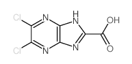 5,6-dichloro-1H-imidazo[4,5-b]pyrazine-2-carboxylic acid结构式