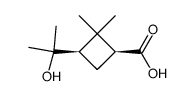 (1S,3R)-3-(1-hydroxy-1-methylethyl)-2,2-dimethylcyclobutanecarboxylic acid Structure