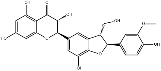 水飞蓟亭B图片