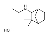 (3,3-dimethyl-2-bicyclo[2.2.1]heptanyl)-ethylazanium,chloride Structure