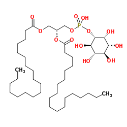 97281-52-2 structure