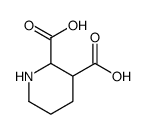 2,3-Piperidinedicarboxylic acid结构式