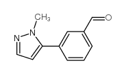 3-(1-METHYL-1H-PYRAZOL-5-YL)BENZALDEHYDE picture