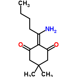 2-(1-Aminopentylidene)-5,5-dimethyl-1,3-cyclohexanedione Structure