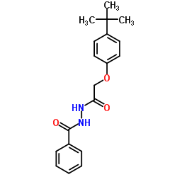 446856-61-7 structure