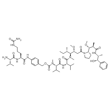 Val-Cit-PAB-MMAE Structure