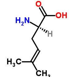 (2R)-2-Amino-5-methyl-4-hexenoic acid结构式