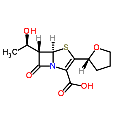 106560-14-9 structure