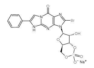 144510-04-3结构式