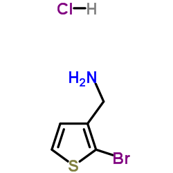 157664-47-6 structure