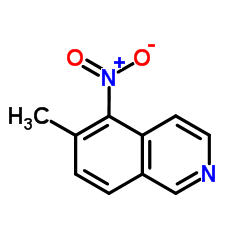 6-Methyl-5-nitroisoquinoline picture