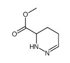 3-Pyridazinecarboxylicacid,2,3,4,5-tetrahydro-,methylester(9CI) structure