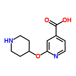 2-(4-Piperidinyloxy)isonicotinic acid结构式