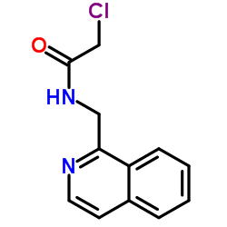 2-Chloro-N-(1-isoquinolinylmethyl)acetamide结构式