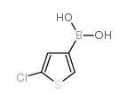 5-CHLOROTHIOPHEN-3-YL-3-BORONIC ACID图片