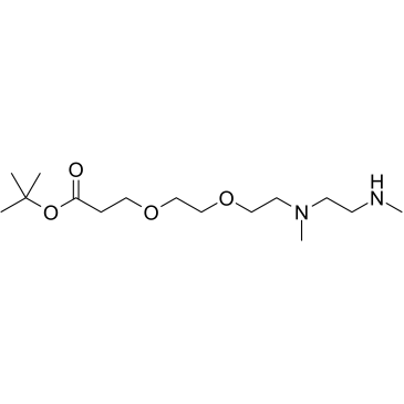 N,N'-DME-N-PEG2-Boc picture