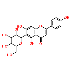 异牡荆素图片