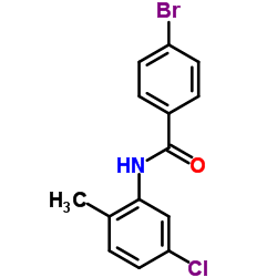 4-Bromo-N-(5-chloro-2-methylphenyl)benzamide picture