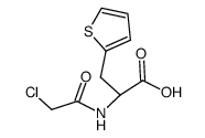 (+/-)-2-(chloroacetyl-amino)-3-[2]thienyl-propionic acid结构式