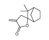 (1S,3S,4R)-2,2-dimethyl-3'-methylidenespiro[bicyclo[2.2.1]heptane-3,5'-oxolane]-2'-one Structure