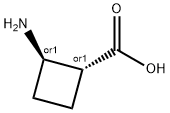 REL-(1R,2R)-2-氨基环丁烷羧酸图片