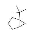 1-tert-butylbicyclo[3.1.0]hexane结构式