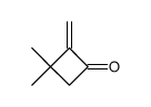 3,3-dimethyl-2-methylene-cyclobutanon Structure