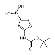 [5-[(2-methylpropan-2-yl)oxycarbonylamino]thiophen-3-yl]boronic acid图片