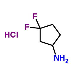 3,3-Difluorocyclopentanamine hydrochloride picture