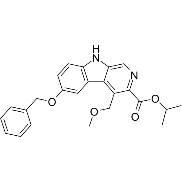 阿贝卡尔图片