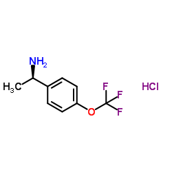 (R)-1-(4-(三氟甲氧基)苯基)乙胺盐酸盐图片