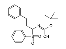 2-Methyl-2-propanyl [3-phenyl-1-(phenylsulfonyl)propyl]carbamate结构式