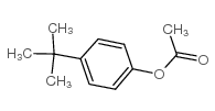 乙酸4-叔丁苯基酯结构式
